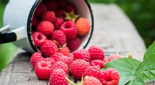 Krupnik malinowy z czym pić? Sprawdź najlepsze kombinacje smakowe i porady
