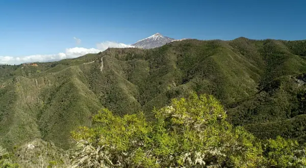 Un exuberante monte del agua se extiende hasta un volcán nevado bajo un cielo azul.