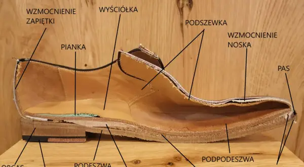 Przekrój buta ukazujący jego budowę: wyściółka, pianka, podeszwa, obcas, nosek, szew.