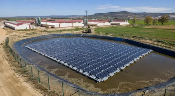 Granja en Aragón con subvenciones para placas solares flotantes en balsa, generando energía limpia para sus instalaciones.
