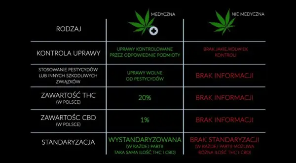 THC w medycznej marihuanie? Co to oznacza dla pacjenta?