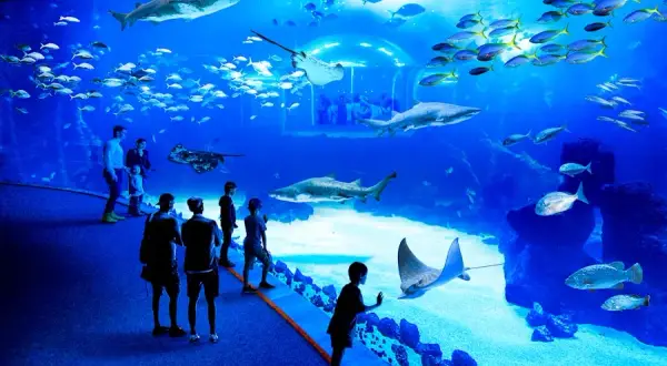 Poema del Mar Gran Canaria: Ceny, dojazd, atrakcje Czy warto?