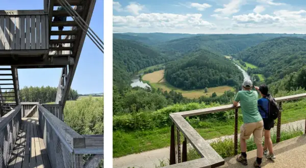 Vue panoramique d'une vallée verdoyante et d'une rivière, depuis une plateforme d'observation. Idéal pour une randonnée bouillon.
