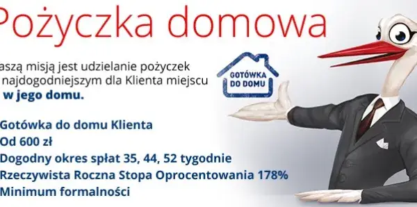 Bocian Pożyczki: Jak dobrać kolejną pożyczkę? Warunki i porady