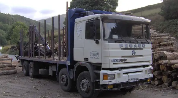 Camion Pegaso blanc avec grue, chargé de bois, garé près d'une pile de troncs.
