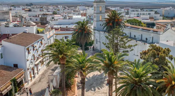 Vista aérea de Conil de la Frontera con palmeras y edificios blancos. Ideal para saber qué hacer en Conil de la Frontera.