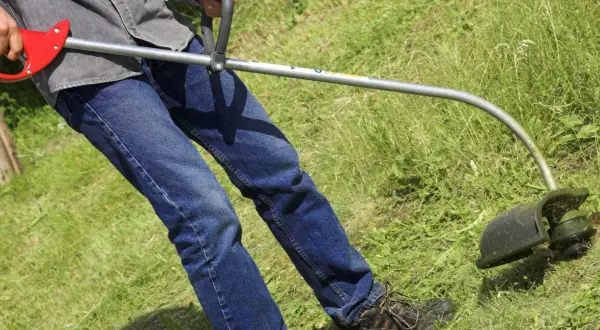 Osoba w dżinsach i koszuli używa podkaszarki do trawy, kiedy pierwsze koszenie trawy po zasianiu.