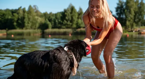 Radosne mazury z psem. Dziewczyna w czerwonym stroju kąpielowym bawi się z czarnym psem w jeziorze.