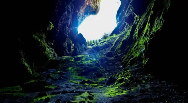 El sendero musgoso de Cova das Choias se abre hacia una luz brillante, invitando a explorar sus misterios verdes y rocosos.