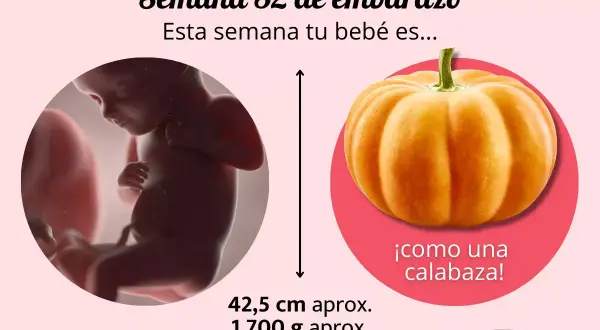 Bebé de 32 semanas de embarazo, con tamaño aproximado de 42,5 cm y 1.700 g, ¡como una calabaza!