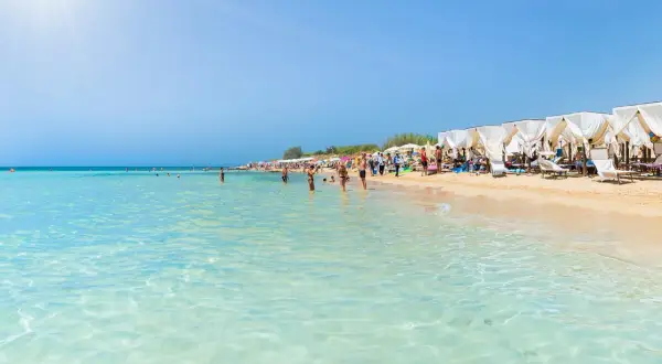 Spiaggia affollata in Puglia, con gente che fa il bagno nelle acque cristalline e si rilassa sotto i gazebo bianchi.