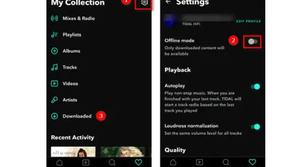 Tidal offline: Jak pobierać muzykę krok po kroku (Poradnik)