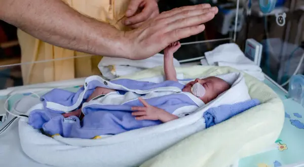 Dłoń ojca czule dotyka maleńkiego noworodka z hipotrofią, otulonego w kocyki w inkubatorze.