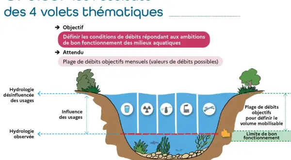 Schéma illustrant les débits d'une rivière, avec une loche poisson nageant près du fond.