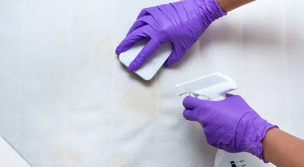 Mit lila Handschuhen wird erbrochenes aus Sofa entfernen hausmittel angewendet. Ein Schwamm tupft die Flecken, während eine Sprühflasche daneben steht.