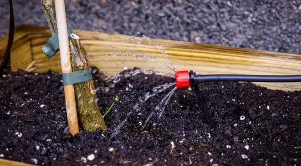 Riego por goteo en Leroy Merlin: encuentra el sistema ideal para tu jardín