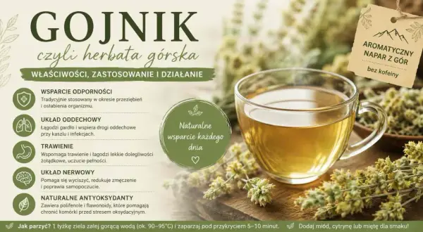 Gojnik właściwości: wsparcie odporności, układu oddechowego, trawienia, nerwowego. Naturalny antyoksydant. Aromat z gór, bez kofeiny.