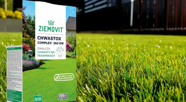 Opakowanie środka Chwastox Complex 260 EW na tle zielonego trawnika i budynków.