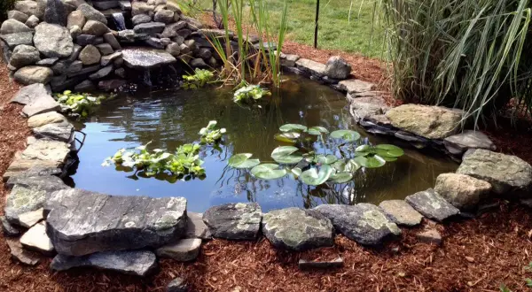 Un bassin préformé avec une cascade rocheuse, des nénuphars et des plantes aquatiques. Les bords sont dissimulés par des pierres naturelles et du paillis.