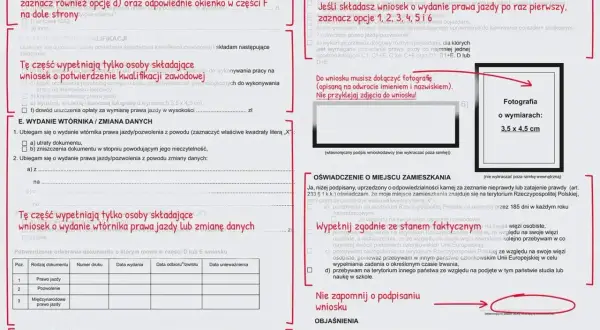 Wniosek o wydanie prawa jazdy po zdanym egzaminie, z zaznaczonymi opcjami dla osoby ubiegającej się o dokument po raz pierwszy.