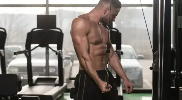 Jak ćwiczyć triceps? Zbuduj potężne ramiona! Poradnik eksperta