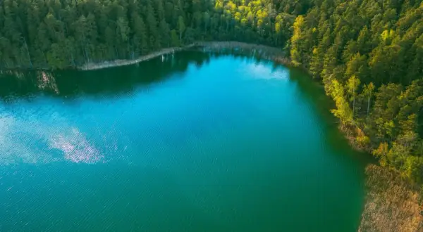 Turkusowe jezioro Wapnica otoczone gęstym lasem iglastym. Woda lśni w słońcu, tworząc malowniczy krajobraz.