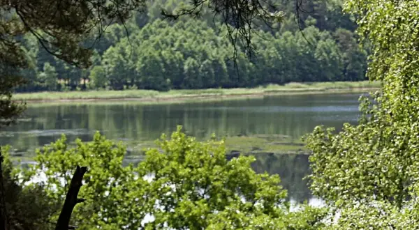 Jezioro Obrzańskie: piękne miejsce na wędkowanie i relaks w naturze
