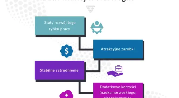 Ile zarabia dekarz w Norwegii? Realne stawki, koszty i jak zarobić więcej