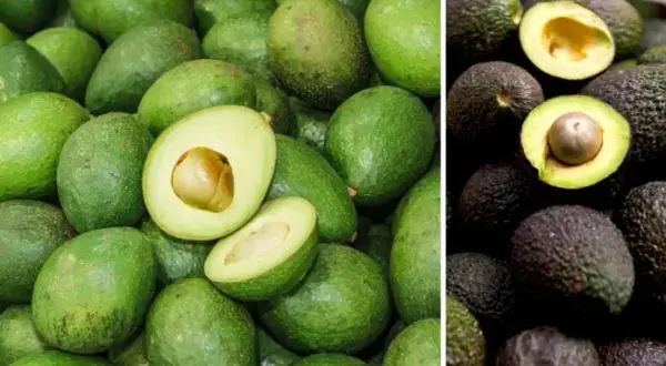 Jakie awokado wybrać, aby uniknąć rozczarowania w guacamole?