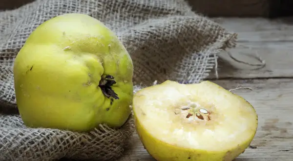 Eine ganze und eine halbe Quitte liegen auf grobem Leinen. Die Frucht ist gelbgrün und leicht flaumig. Man fragt sich, wie schmeckt quitte wohl?