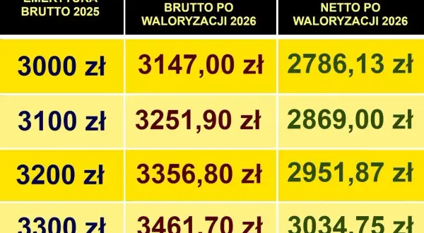 Tabela pokazuje, ile wynosi najniższa emerytura netto po waloryzacji 2026. Najniższa kwota netto to 2786,13 zł.