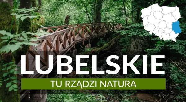 Odkryj Lubelskie: Co zwiedzić? Od zabytków po dziką naturę!