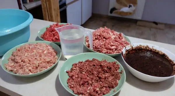 Przygotowania do diety BARF dla kota: kilka talerzy z mielonym mięsem, dzbanek z wodą i miska z ciemną masą.