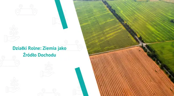 Widok z lotu ptaka na pola uprawne, zielone i zaorane, sugerujący, co opłaca się uprawiać na 1 ha.