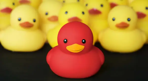 Un patito feo rojo destaca entre una multitud de patitos amarillos, todos listos para un baño.
