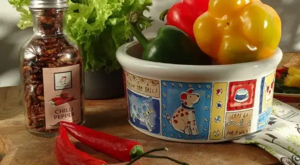 Papryka dla psa: bezpieczny smakołyk czy ukryte zagrożenie?