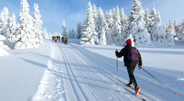 Skilanglauf in Deutschland: Eine Gruppe Langläufer genießt die verschneite Winterlandschaft mit tiefen Spuren im Schnee.