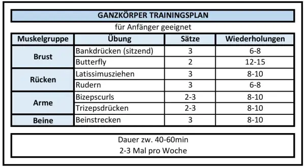 Ganzkörper Trainingsplan für Anfänger: Übungen für Brust, Rücken, Arme und Beine mit Sätzen und Wiederholungen. Ideal für Krafttraining.