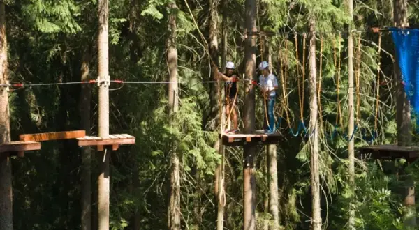 Park Linowy Stary Bór: Trasy, Cennik, Dojazd Planuj Przygodę!