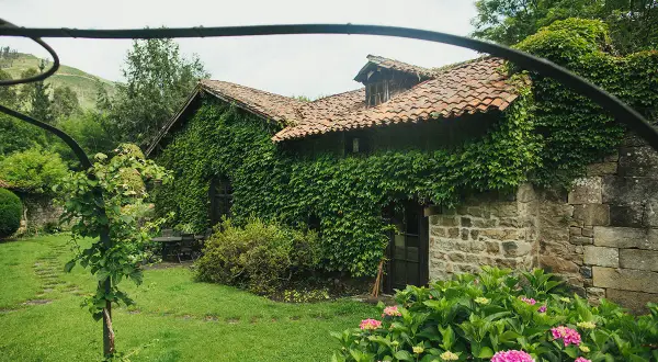 El molino de Cabuérniga, cubierto de hiedra, con un jardín florido y un camino de losas.
