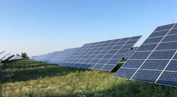 Rząd paneli fotowoltaicznych na tle błękitnego nieba. Widać, że każdy panel jest zamontowany na trackerze, który pozwala na optymalne ustawienie względem słońca.