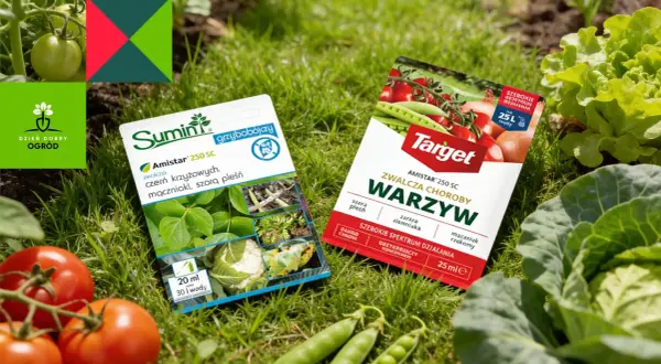 Amistar 250 SC kiedy stosować? Opakowania środków ochrony roślin na tle warzyw i ziół. Idealne do zwalczania chorób warzyw krzyżowych i ziemniaków.