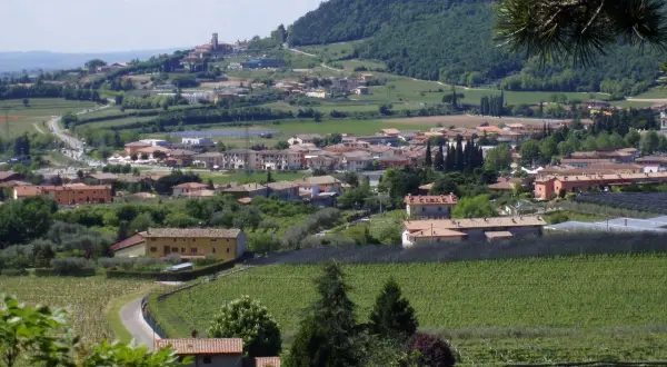 Panoramica di Affi, con case dai tetti rossi, vigneti e colline verdi. Un luogo incantevole da esplorare.