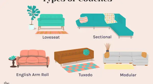 Illustration showcasing different types of couches: loveseat, sectional, English arm roll, tuxedo, and modular.