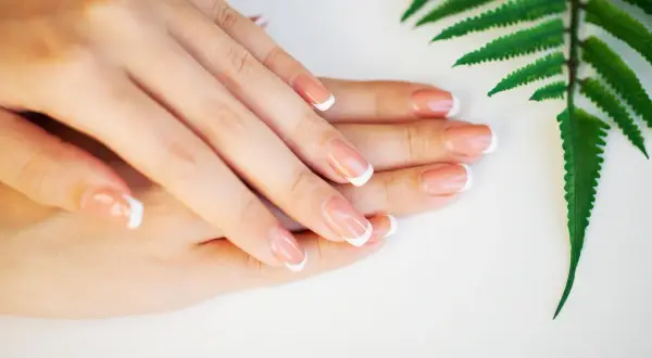 Eleganckie paznokcie french jesienny, delikatnie ułożone dłonie obok zielonego liścia paproci.