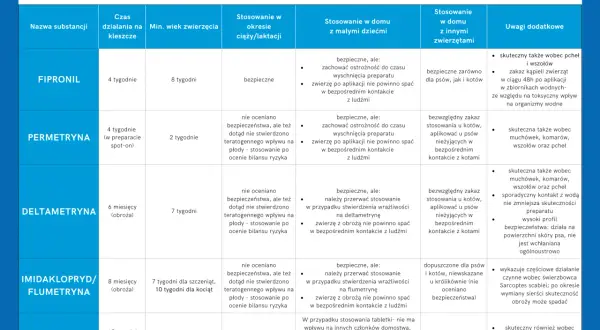 Tabletka od kleszczy dla psa: porównanie substancji czynnych. Fipronil działa 4 tygodnie, jest bezpieczny dla szczeniąt i kotów.