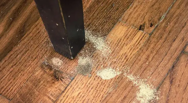 Segni di **tarli parquet**: polvere fine e detriti vicino alla gamba di un mobile scuro su un pavimento in legno.