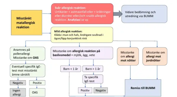 Flödesschema för misstänkt matallergisk reaktion hos barn. Utredning av allergi, inklusive IgE-test, för att fastställa allergi.