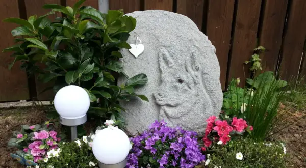 Kamień z wyrytym psem, kwiaty i lampki tworzą miejsce pamięci. Gdzie zgłosić zakopanie psa w ogrodzie? To miejsce jest symbolem miłości.