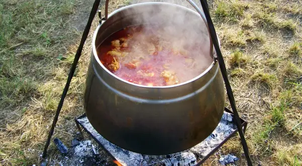 Gotuje się pyszny kociołek z mięsem i kapustą nad ogniskiem. Para unosi się z garnka, zapowiadając smakowity posiłek.